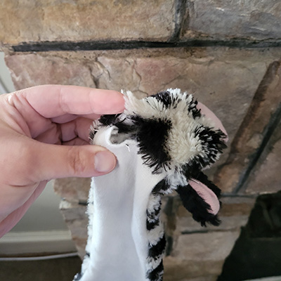 Photo of a cow-shaped, fabric dog toy with a ripped seam.